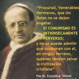 Meet your Posher, Pedro